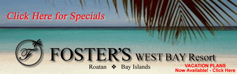 Fosters Roatan